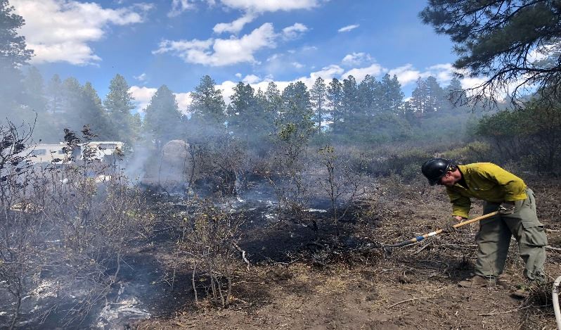 Forest Floor Clearing Forest Floor Clearing
